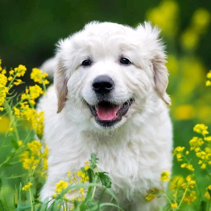 梅| ᴥ•́ )✧花香自苦寒来