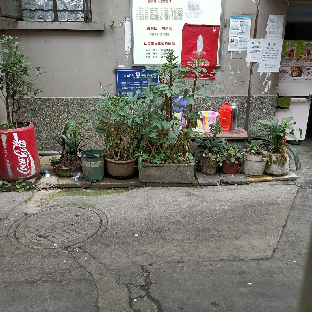 用户3658634508126