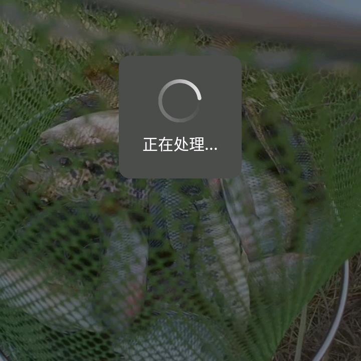 快乐男孩
