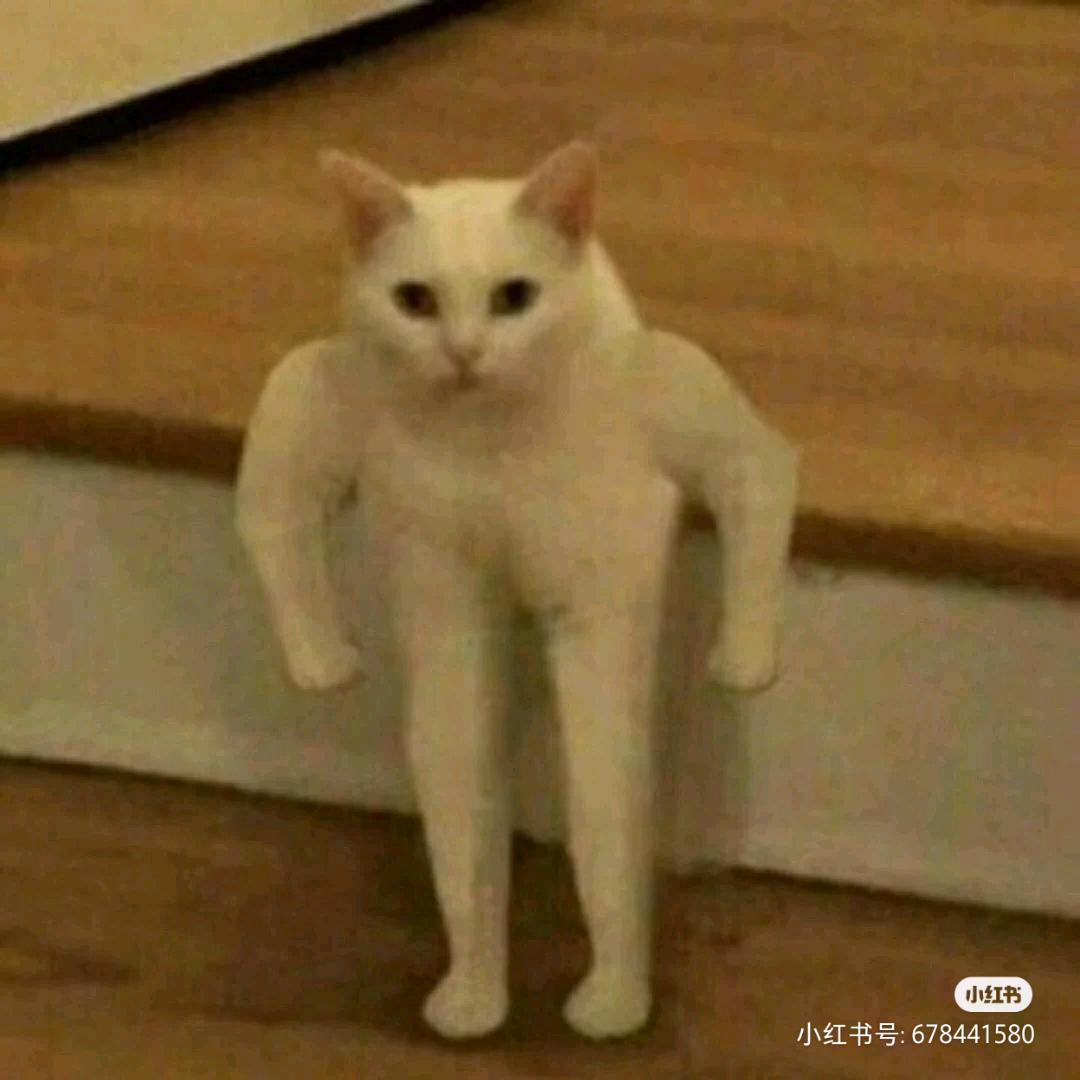 和瘸子赛跑