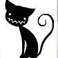 圆猫
