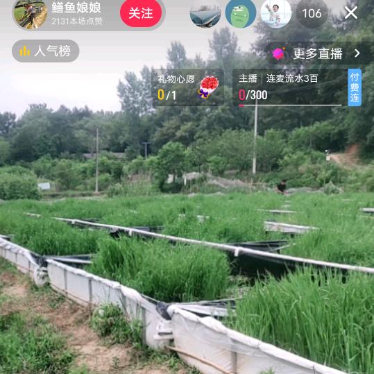 明哥1188