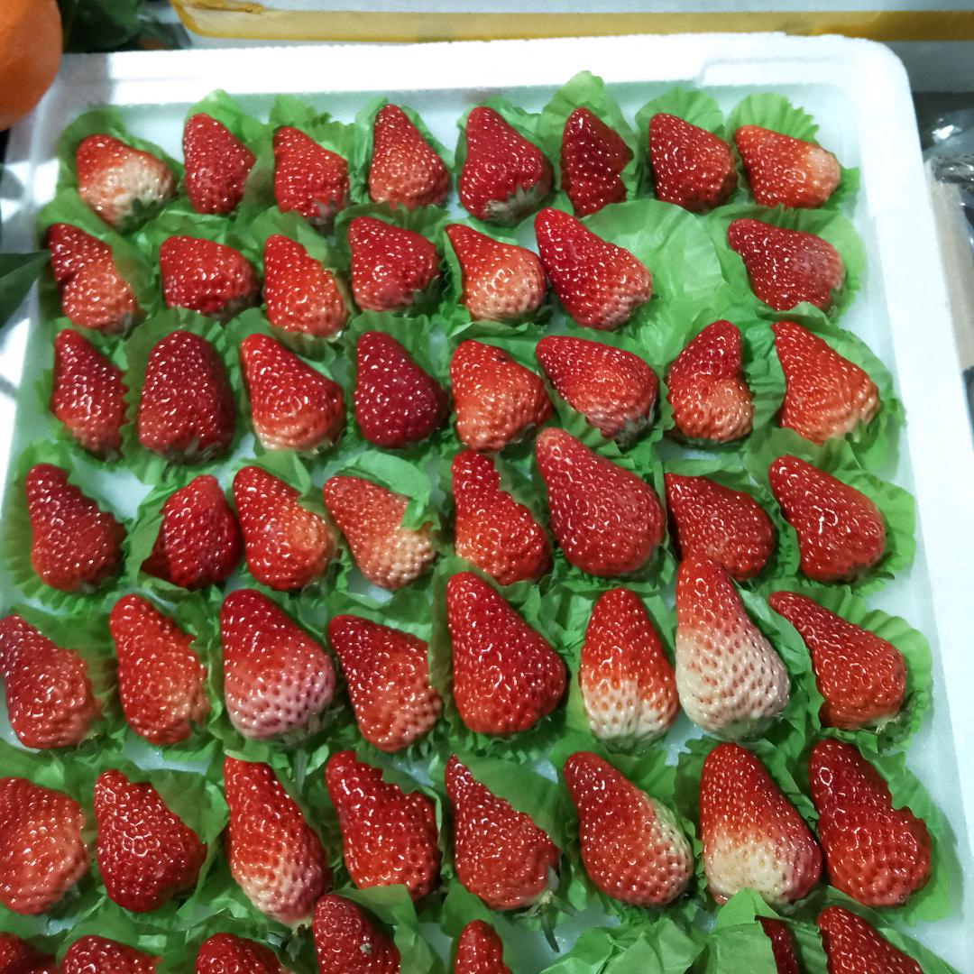 脐橙，新鲜水果。包邮