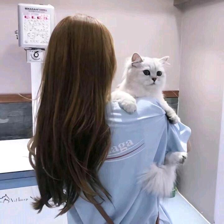 甄品优选