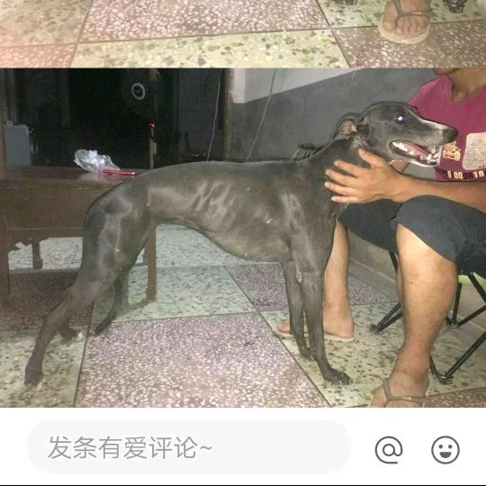 陕西富平屋面防水