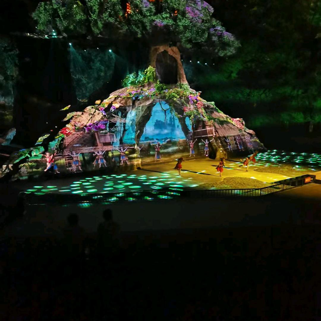 花开绚烂，花落凄凉