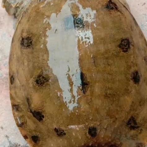 三岔湖原生态鱼店