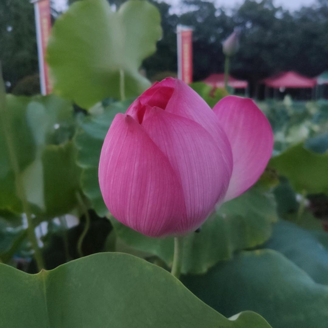 我在这