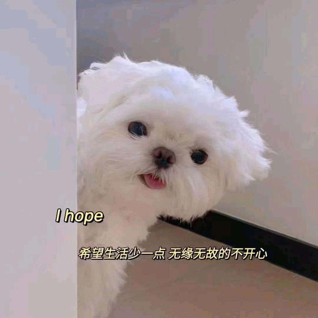 这一世轮回（三角洲行动）