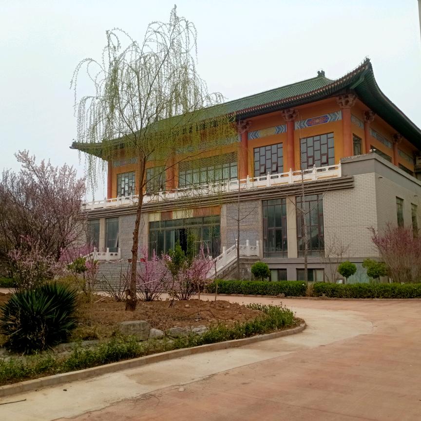平安_228608515
