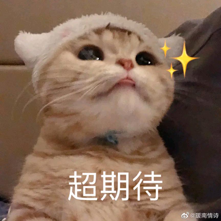 不打渔攉愣水