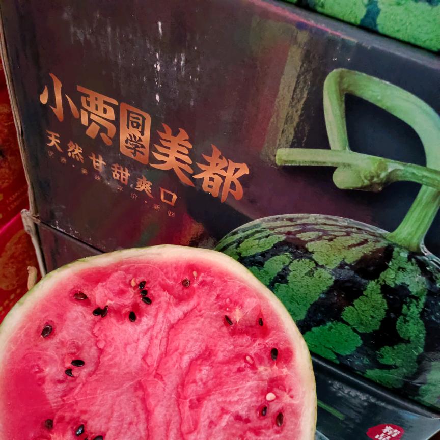 宝哥麒麟西瓜专卖