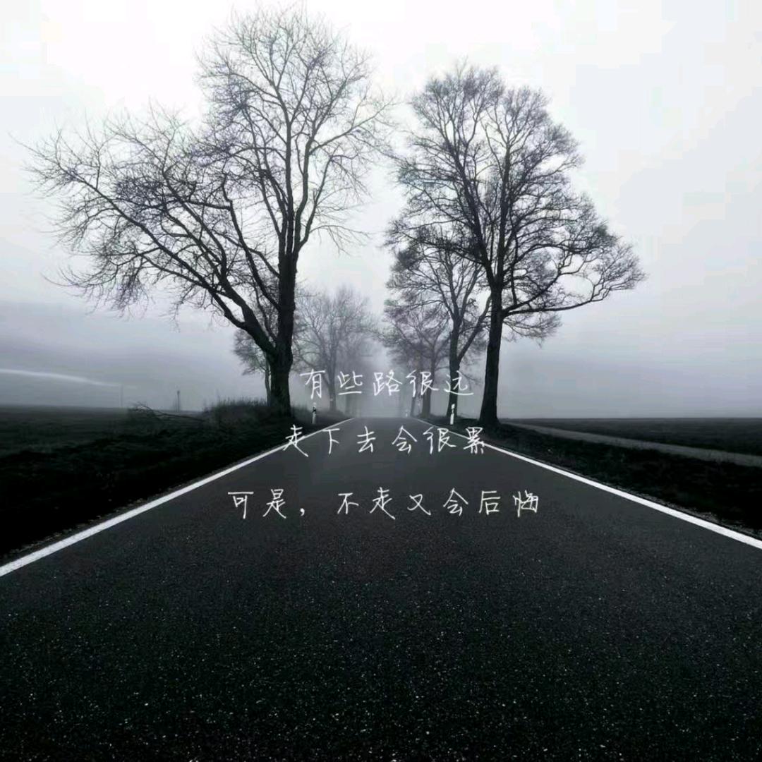 蜉蝣与鹤