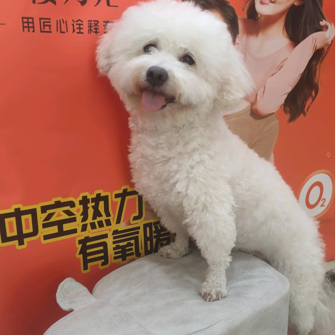 心怡小屋