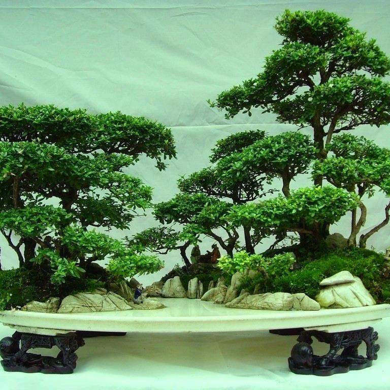 夏日梦回