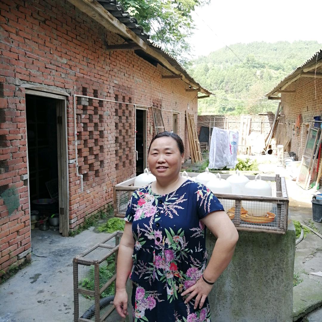 专业养鸡人张桂琼