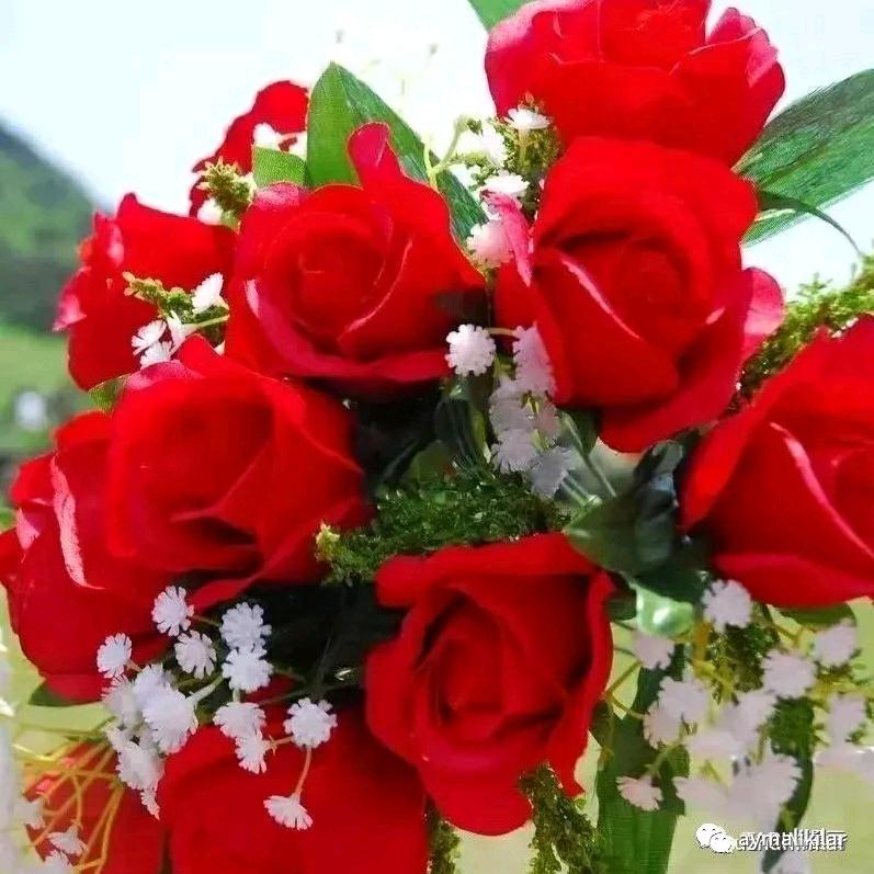 🌹🌹古丽🌹🌹