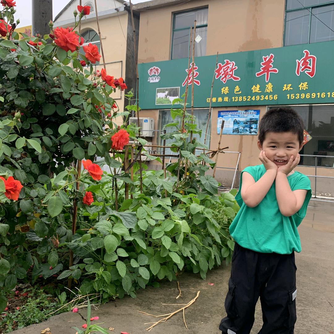 灰墩羊肉馆总店
