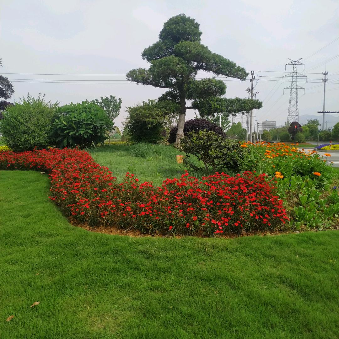 黄姐平安健康就好