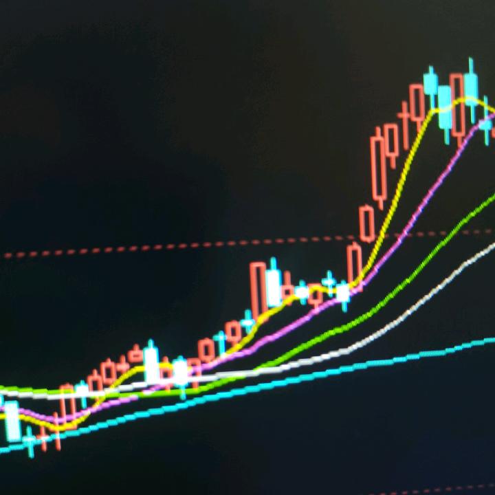 金手指