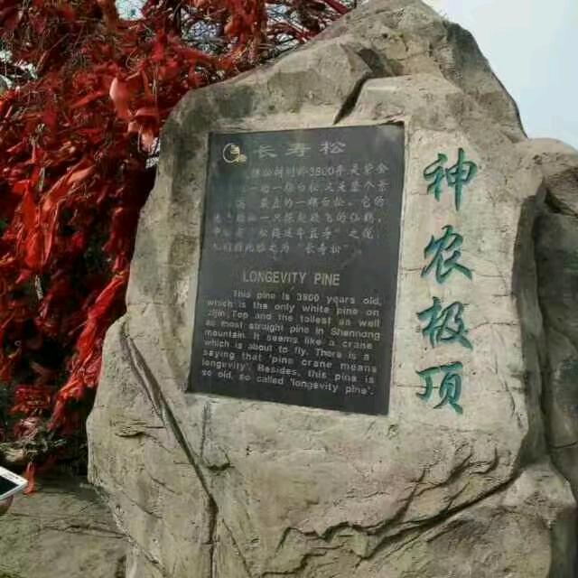 欣然