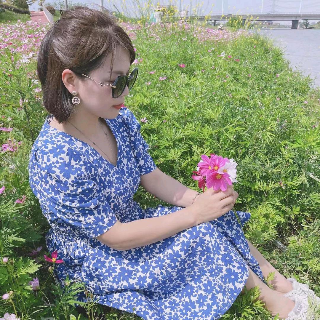 南方燕子6465711738513