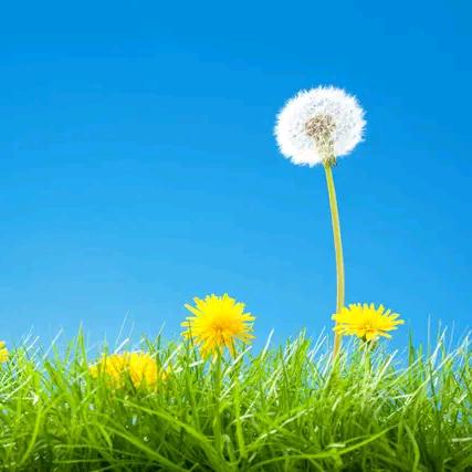 余生🐠好物分享