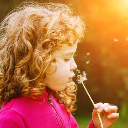 🌹一路向阳🌼