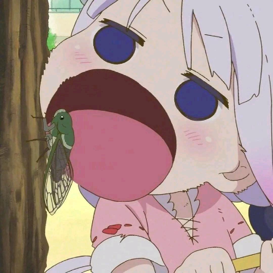 噼里啪啦…
