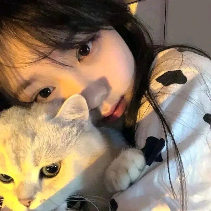 晚安小鱼