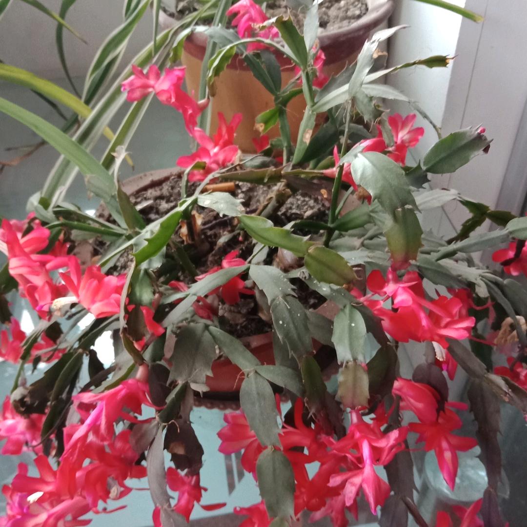 热门游戏