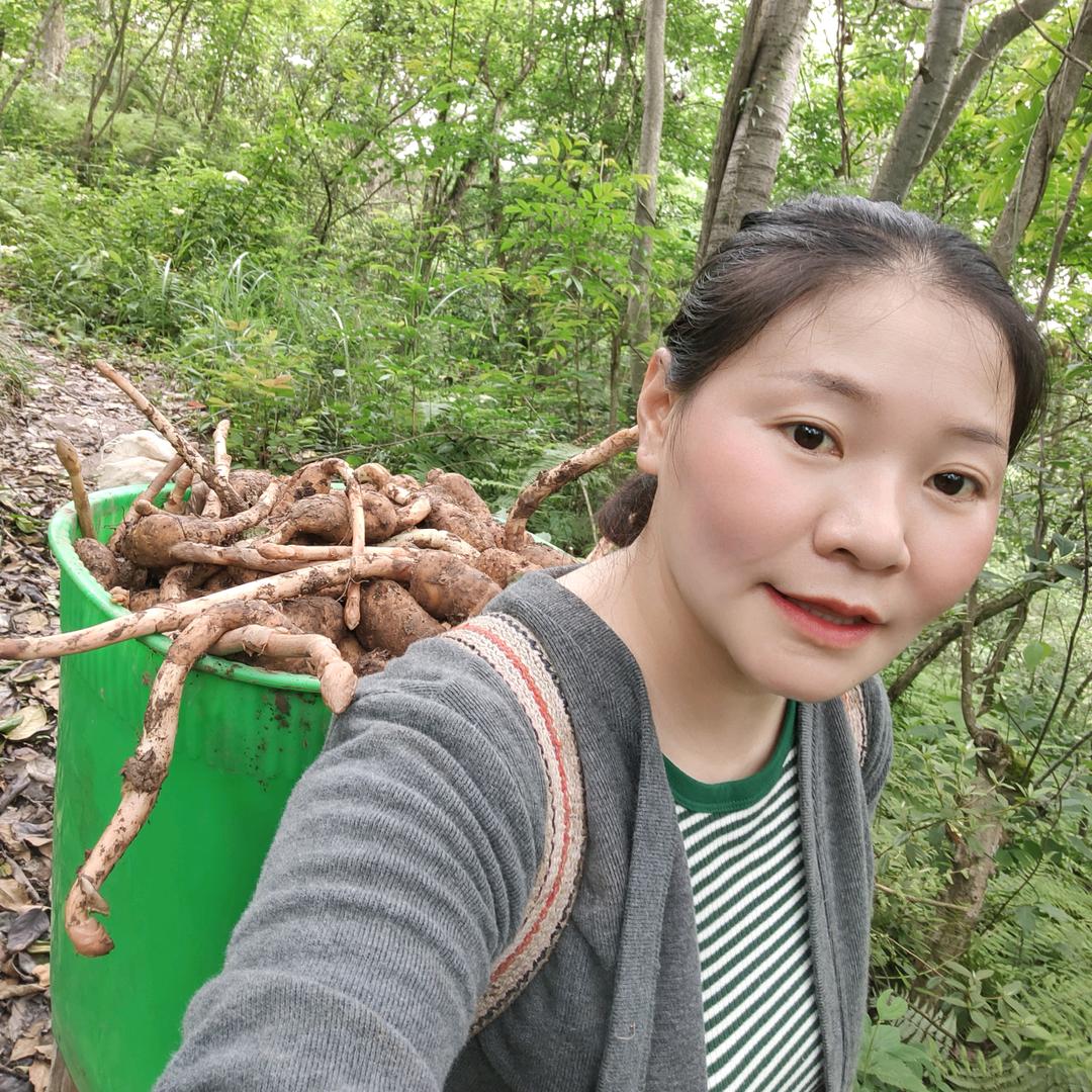 云南昭通小草坝天麻和土特产