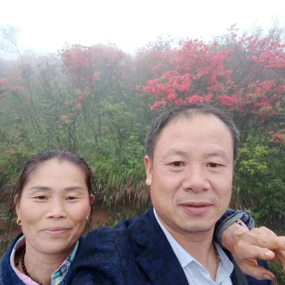 不可阻挡
