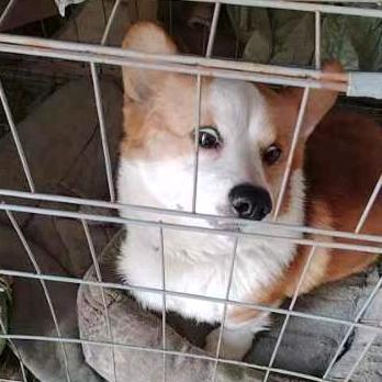 白蛋蛋🫠