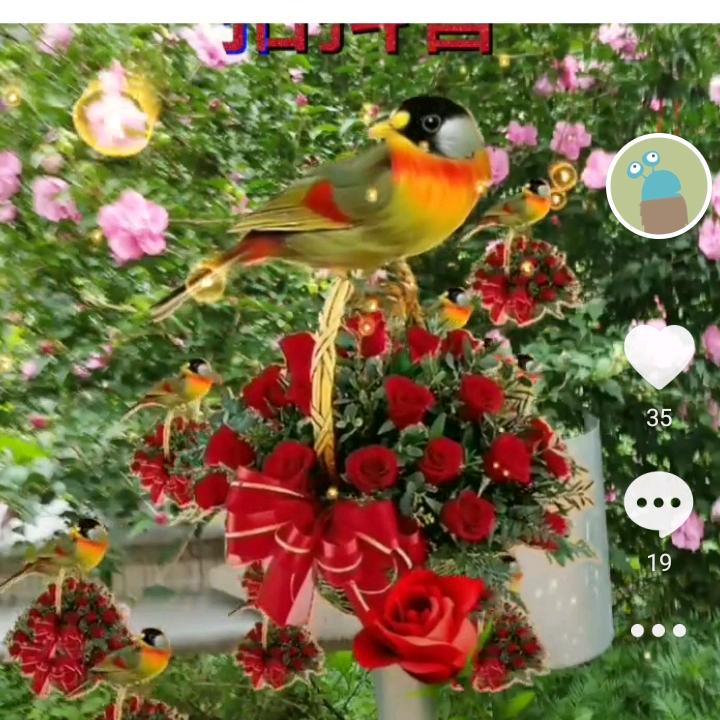 ٩(￥A￥)۶恭喜发财