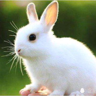 এ᭄༊♥☾琼ꦿ᭄࿐