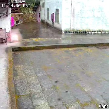 苟于渊