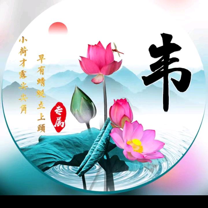 韦君