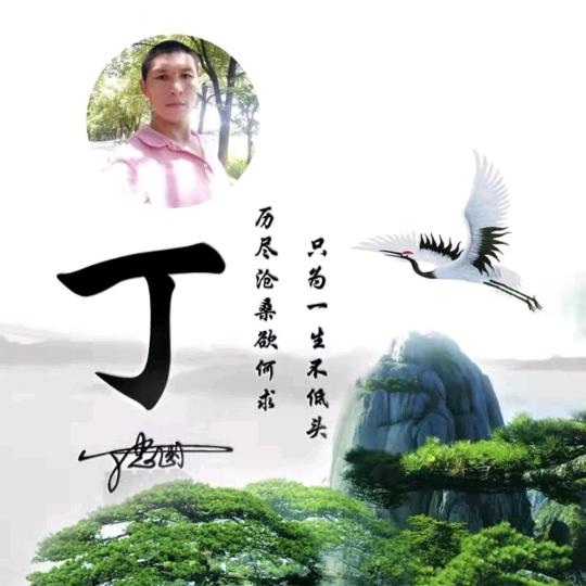 漂泊