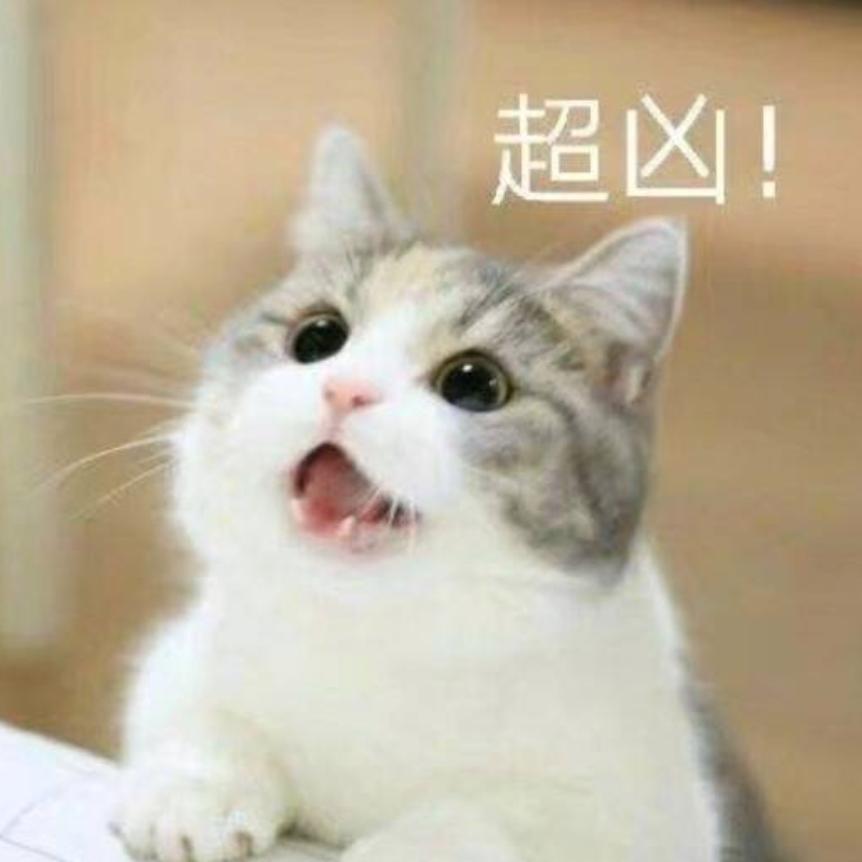 明天的太阳123456789876543