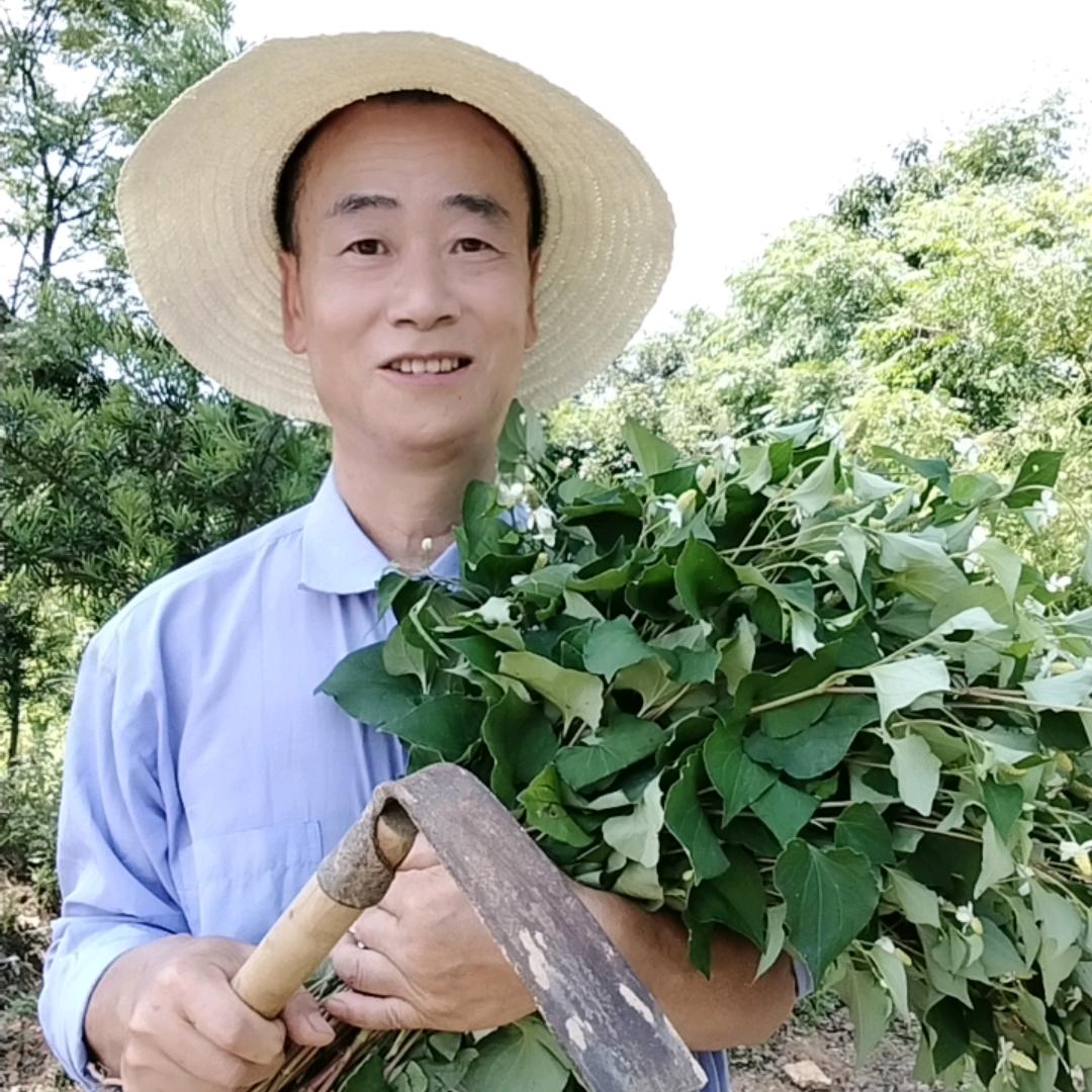 农村泉哥