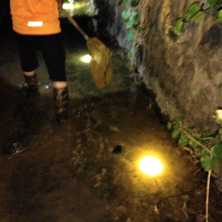 天涯，八子哥专业房屋装修
