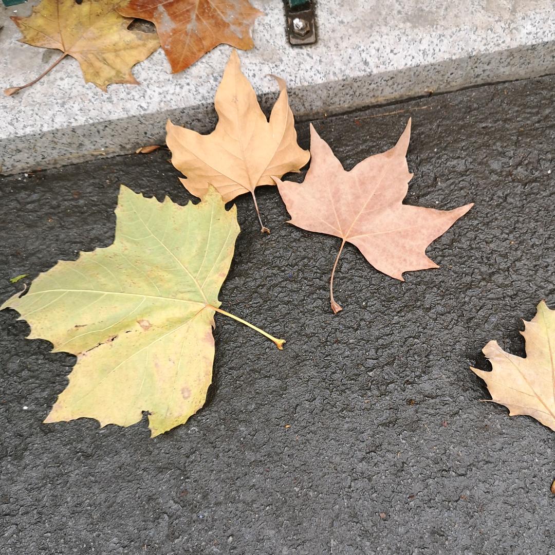 清瘦洋气壮壮妈