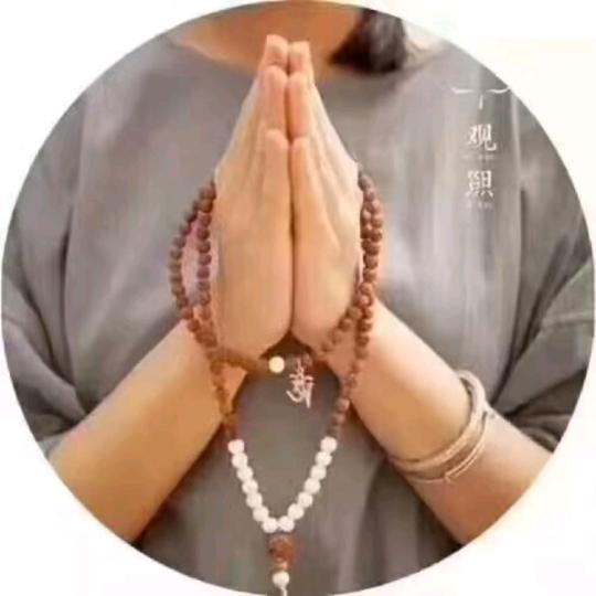 每日一禅