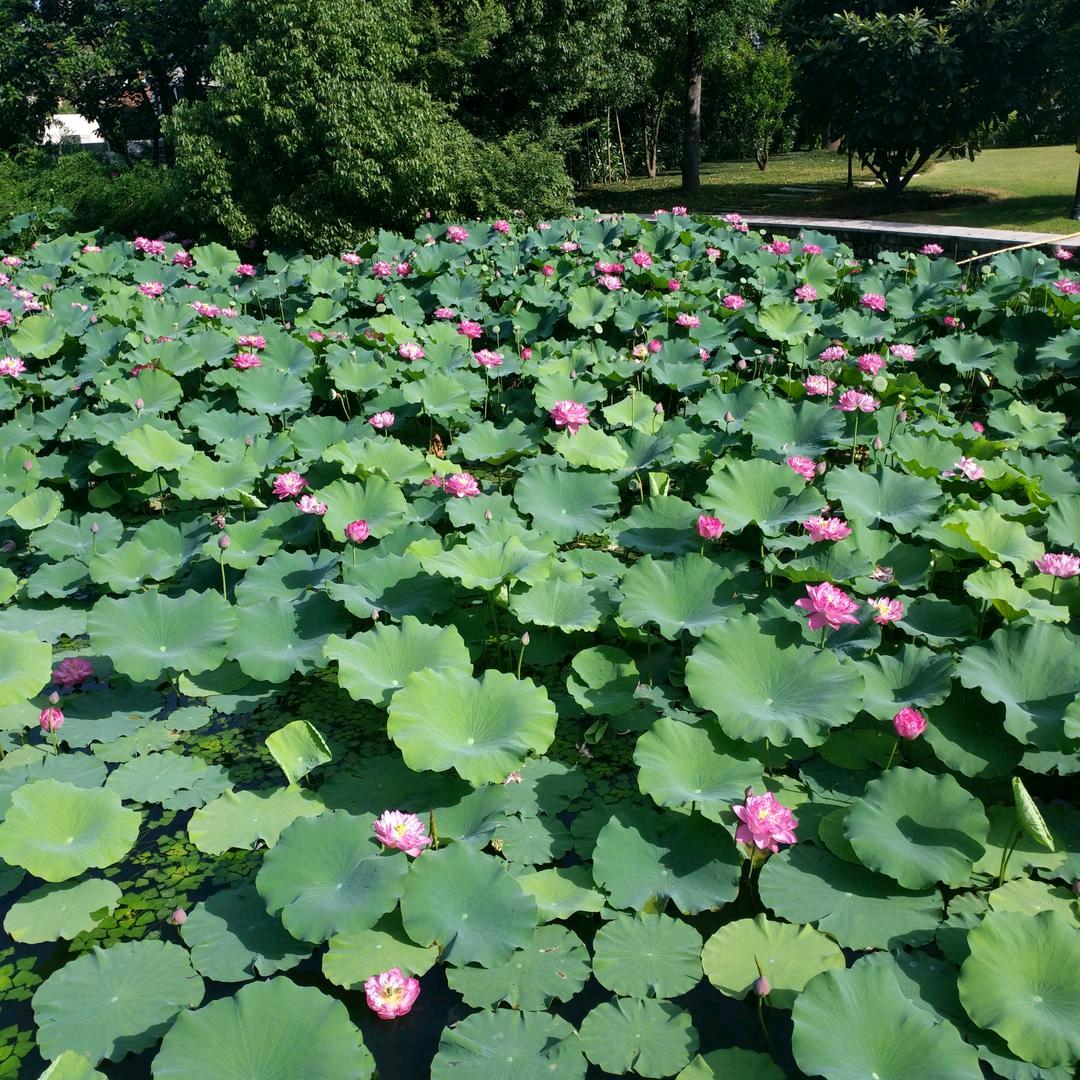 涅槃重生佛法无边