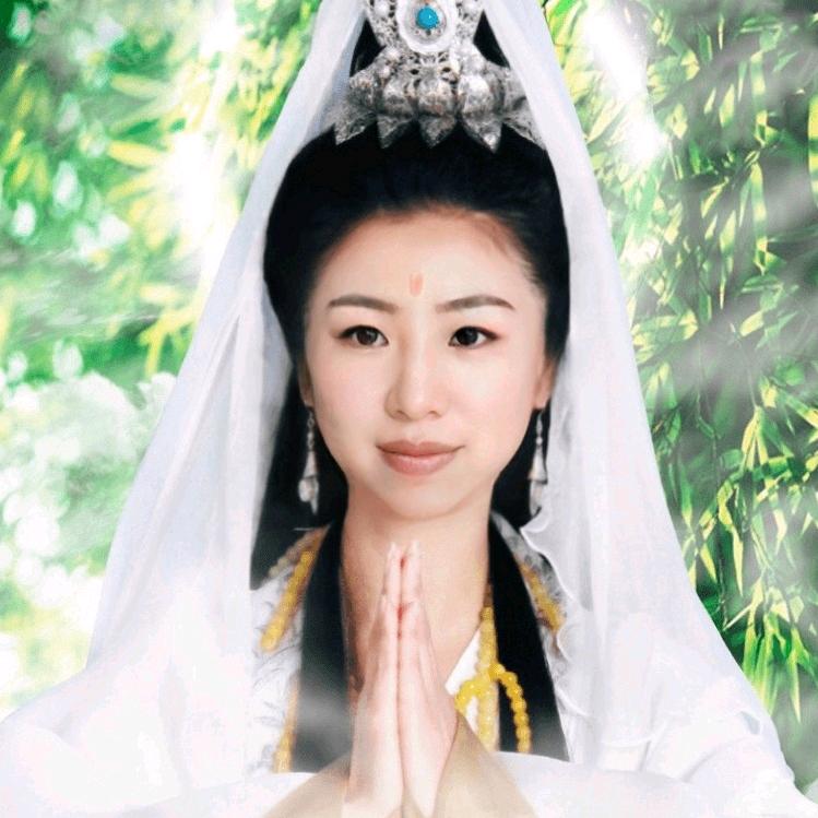牡丹修行🙏🙏🙏静心