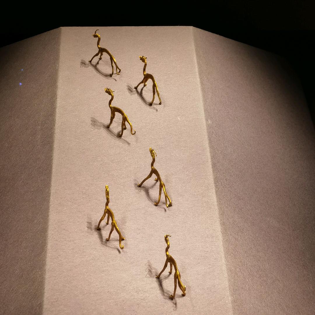 上海金属装饰—陈洋