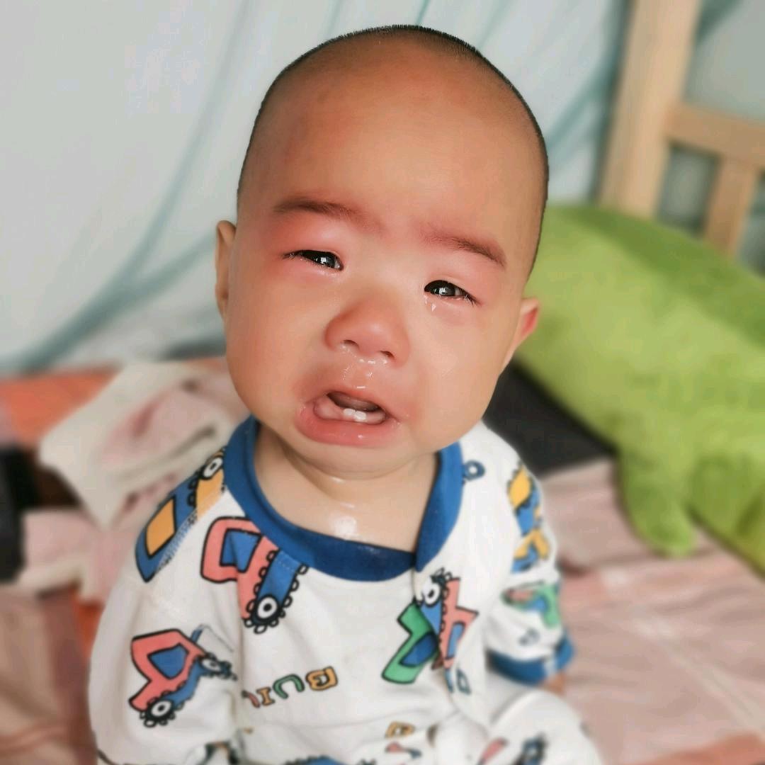 三个小小张   不要连赞