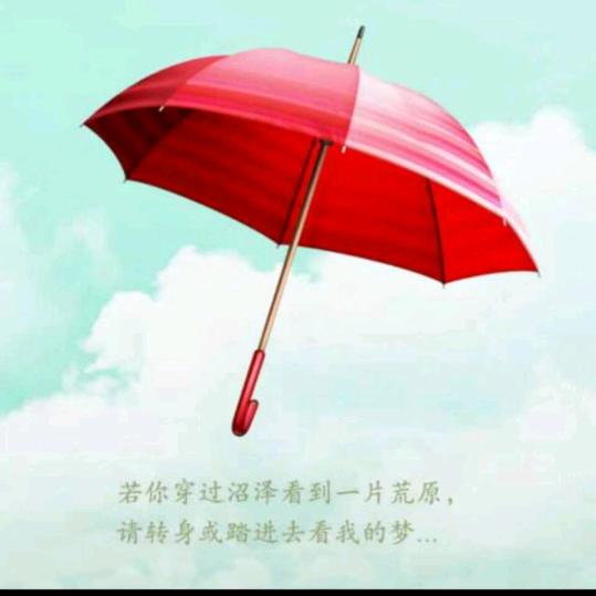傲雪红梅
