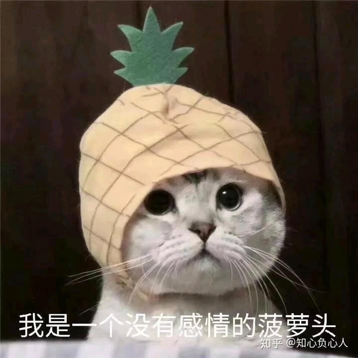 莫提感情~~戒了